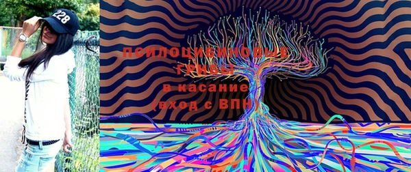ешки Ростов