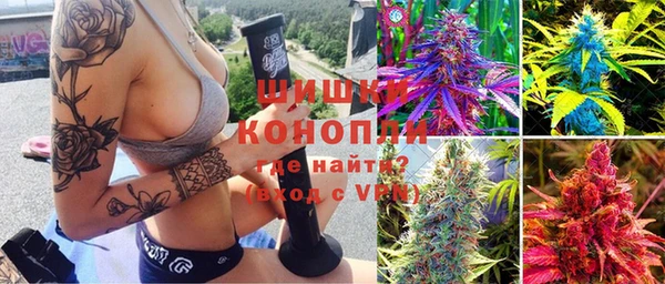 ПСИЛОЦИБИНОВЫЕ ГРИБЫ Алзамай
